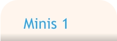 Minis 1