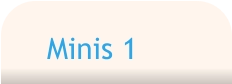 Minis 1